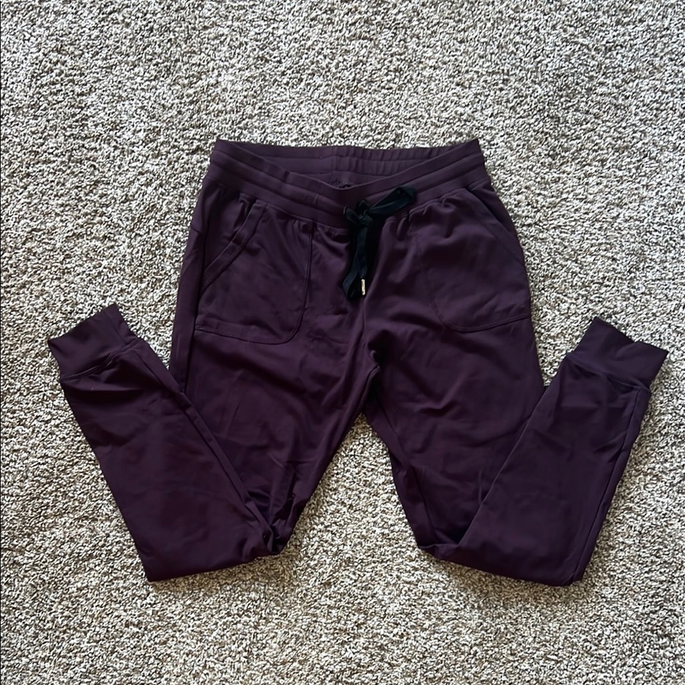 Zyia Actice Purple Jogger Pants